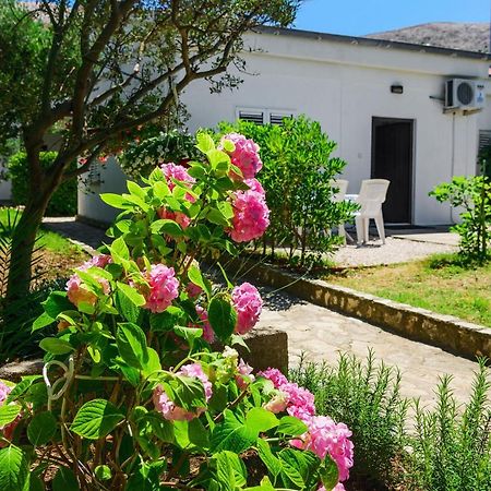 Apartmant Prosika Pag Town Zewnętrze zdjęcie